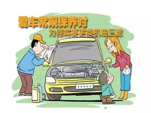 汽车养护利润大概多少